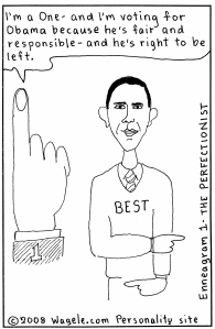 Obama as a Perfectionist